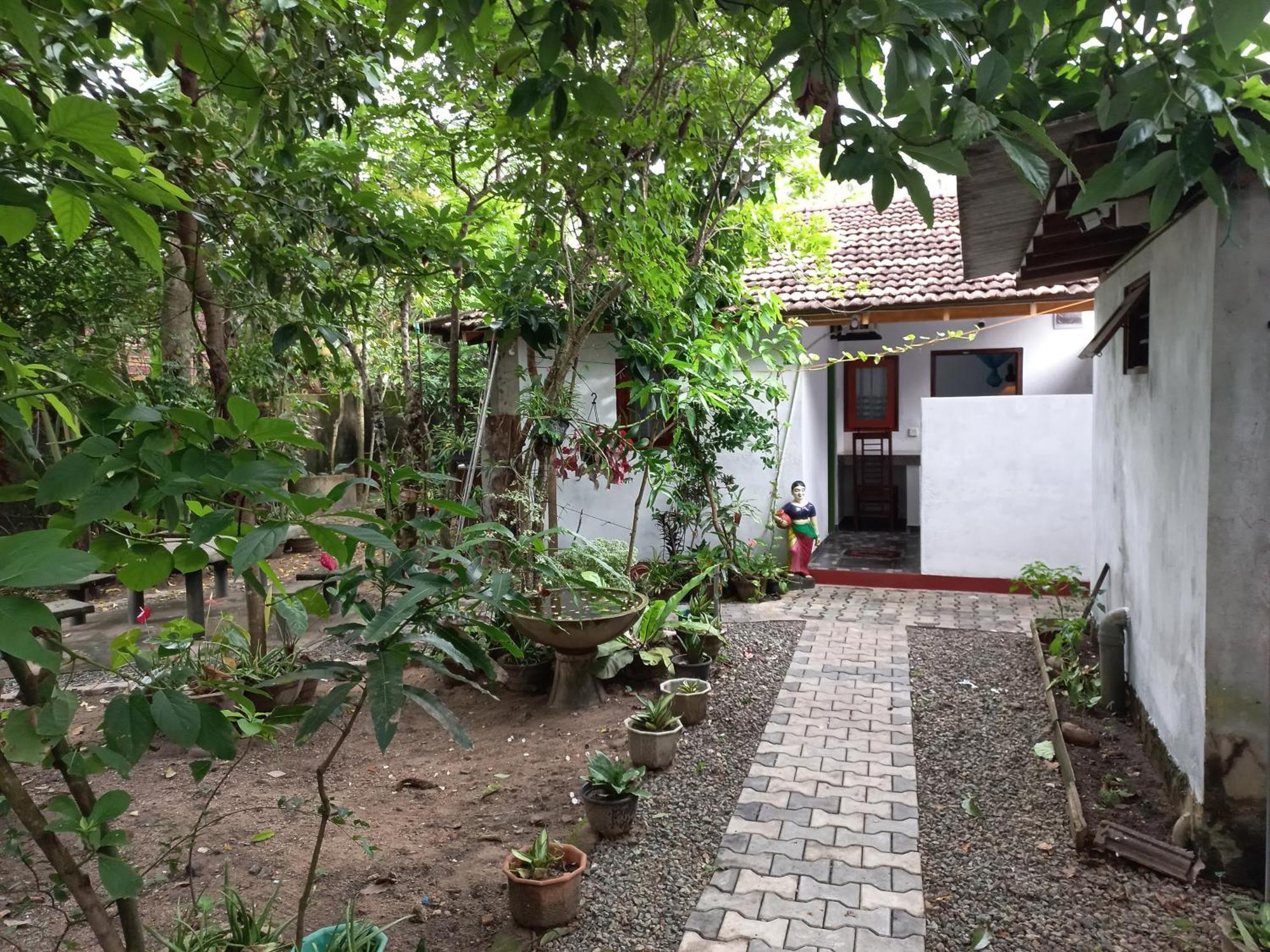 Mango Villa 703 ヒッカドゥワ エクステリア 写真
