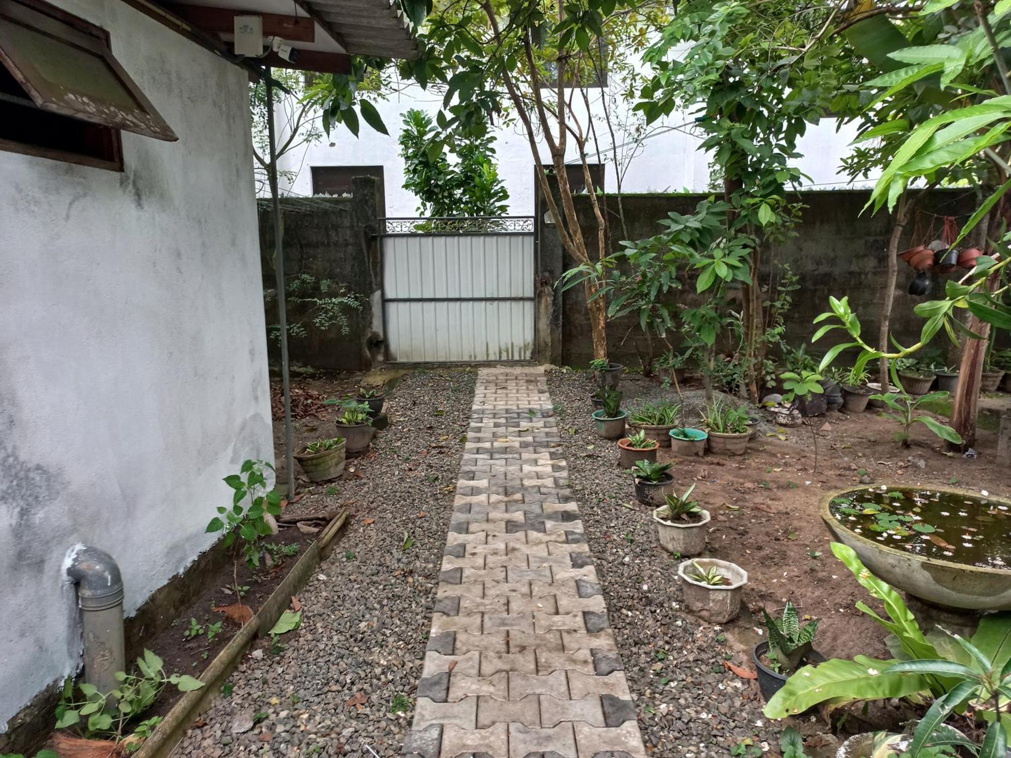Mango Villa 703 ヒッカドゥワ エクステリア 写真
