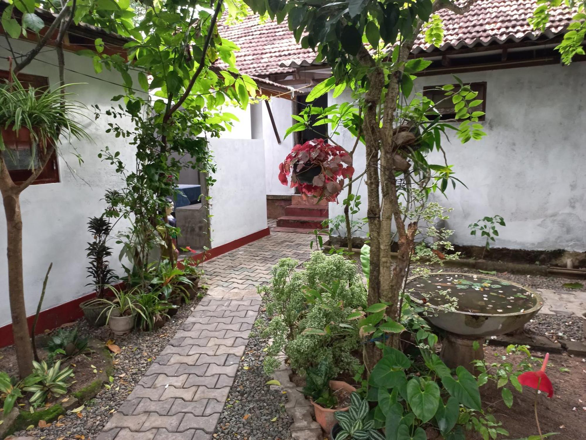 Mango Villa 703 ヒッカドゥワ エクステリア 写真